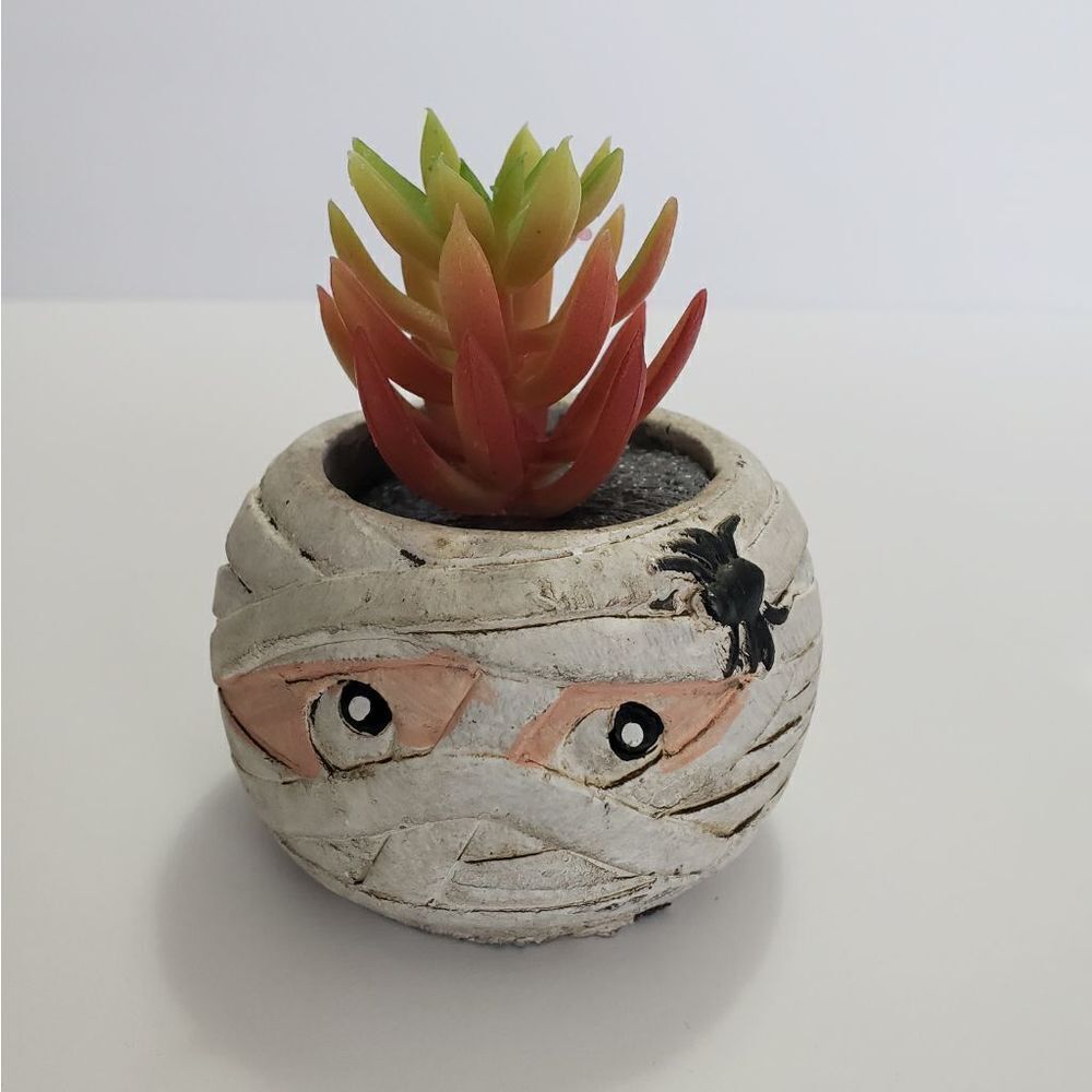 3 For $15 Faux Succulent in Ceramic Mummy Halloween Decor